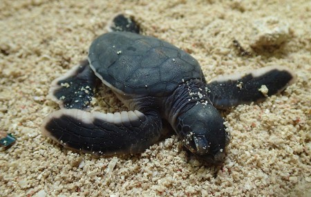 "Before the war" ©2014 Jimmie Olsson